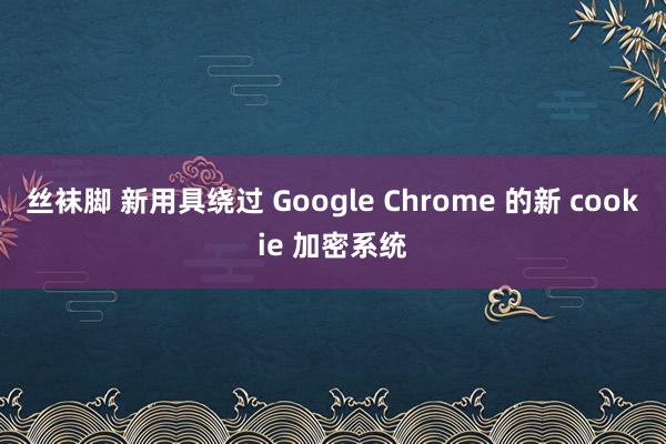 丝袜脚 新用具绕过 Google Chrome 的新 cookie 加密系统