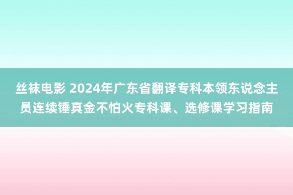 丝袜电影 2024年广东省翻译专科本领东说念主员连续锤真金不怕火专科课、选修课学习指南