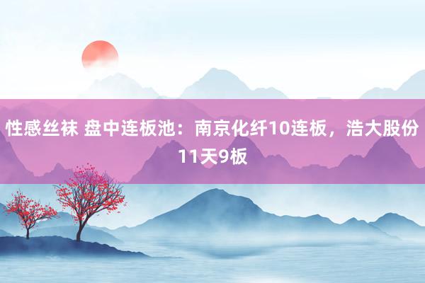 性感丝袜 盘中连板池：南京化纤10连板，浩大股份11天9板
