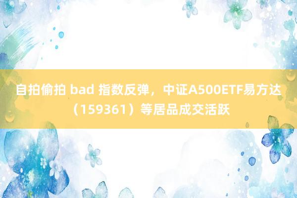 自拍偷拍 bad 指数反弹，中证A500ETF易方达（159361）等居品成交活跃