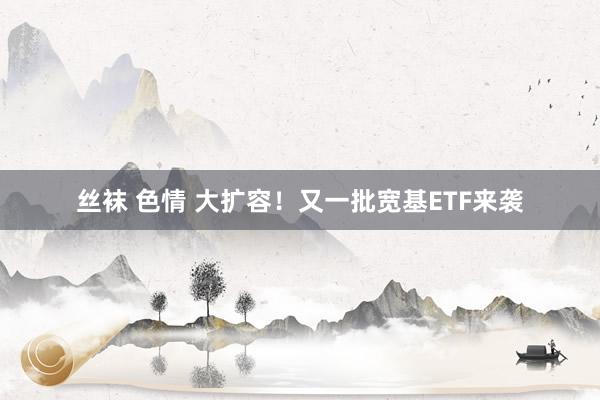 丝袜 色情 大扩容！又一批宽基ETF来袭