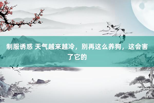 制服诱惑 天气越来越冷，别再这么养狗，这会害了它的