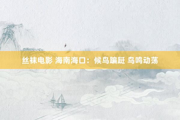 丝袜电影 海南海口：候鸟蹁跹 鸟鸣动荡