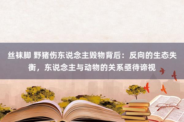 丝袜脚 野猪伤东说念主毁物背后：反向的生态失衡，东说念主与动物的关系亟待谛视