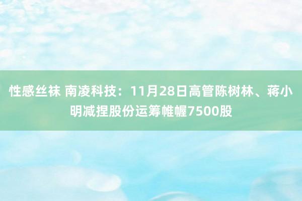 性感丝袜 南凌科技：11月28日高管陈树林、蒋小明减捏股份运筹帷幄7500股