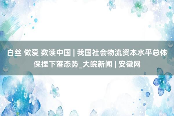 白丝 做爱 数读中国 | 我国社会物流资本水平总体保捏下落态势_大皖新闻 | 安徽网
