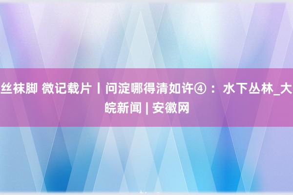 丝袜脚 微记载片丨问淀哪得清如许④ ：水下丛林_大皖新闻 | 安徽网