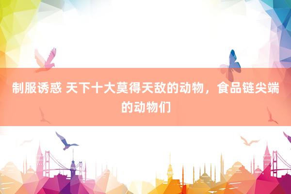 制服诱惑 天下十大莫得天敌的动物，食品链尖端的动物们