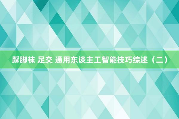 踩脚袜 足交 通用东谈主工智能技巧综述（二）