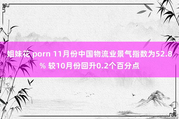姐妹花 porn 11月份中国物流业景气指数为52.8% 较10月份回升0.2个百分点