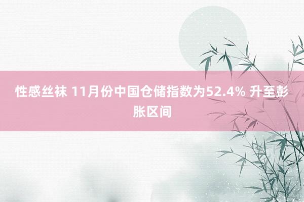 性感丝袜 11月份中国仓储指数为52.4% 升至彭胀区间