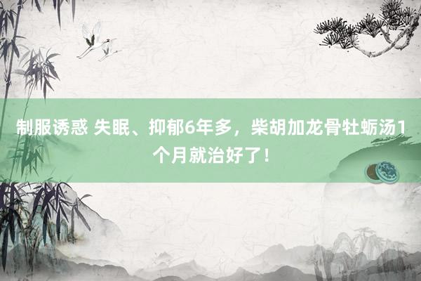 制服诱惑 失眠、抑郁6年多，柴胡加龙骨牡蛎汤1个月就治好了！