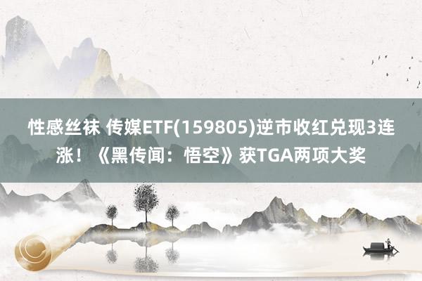 性感丝袜 传媒ETF(159805)逆市收红兑现3连涨！《黑传闻：悟空》获TGA两项大奖