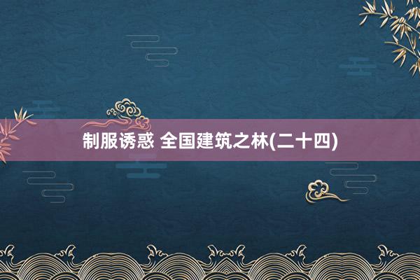 制服诱惑 全国建筑之林(二十四)