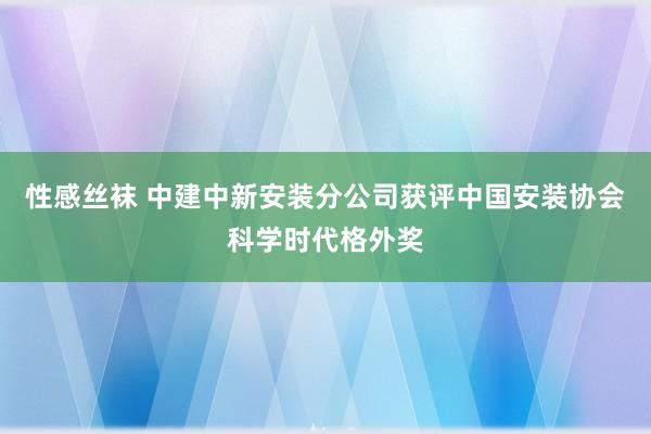 性感丝袜 中建中新安装分公司获评中国安装协会科学时代格外奖