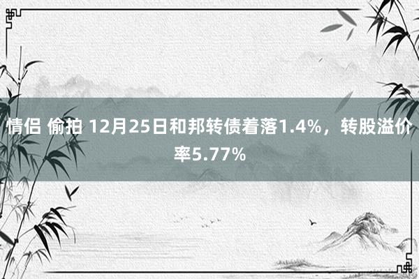 情侣 偷拍 12月25日和邦转债着落1.4%，转股溢价率5.77%