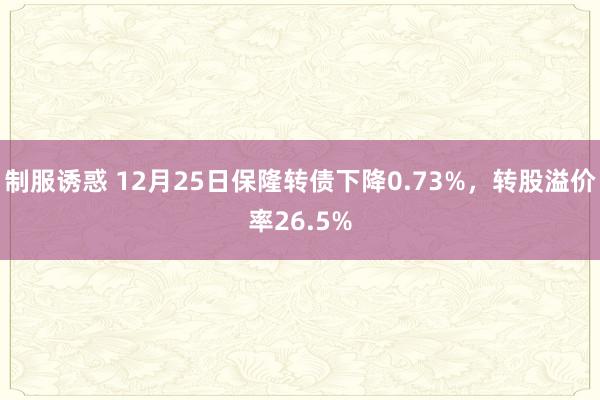制服诱惑 12月25日保隆转债下降0.73%，转股溢价率26.5%
