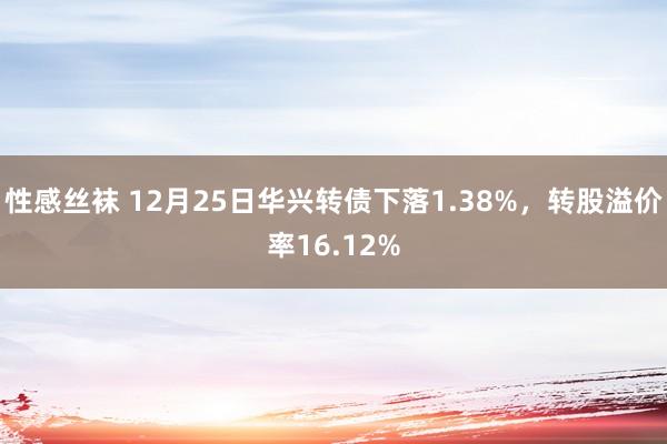 性感丝袜 12月25日华兴转债下落1.38%，转股溢价率16.12%