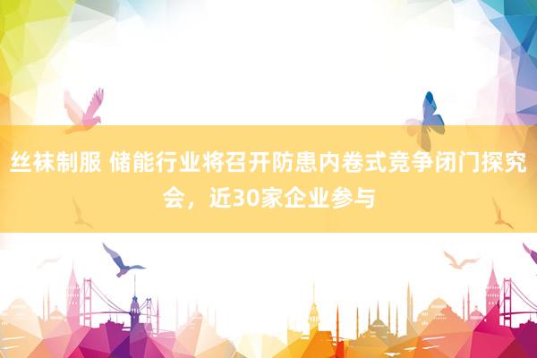 丝袜制服 储能行业将召开防患内卷式竞争闭门探究会，近30家企业参与