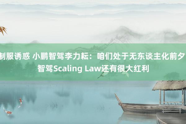 制服诱惑 小鹏智驾李力耘：咱们处于无东谈主化前夕，智驾Scaling Law还有很大红利