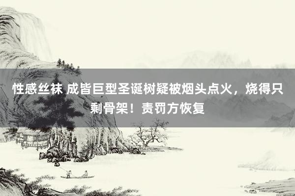 性感丝袜 成皆巨型圣诞树疑被烟头点火，烧得只剩骨架！责罚方恢复