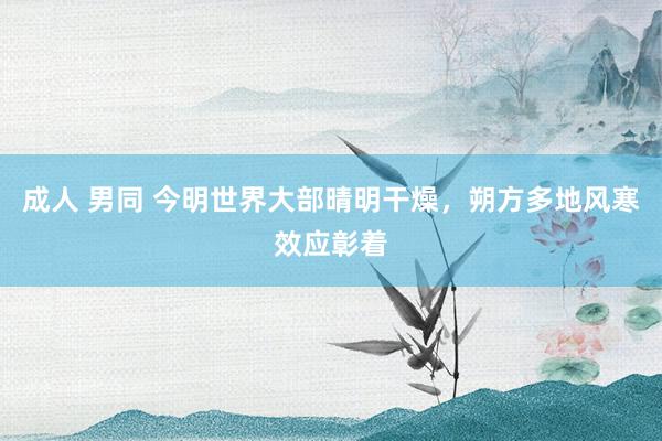 成人 男同 今明世界大部晴明干燥，朔方多地风寒效应彰着