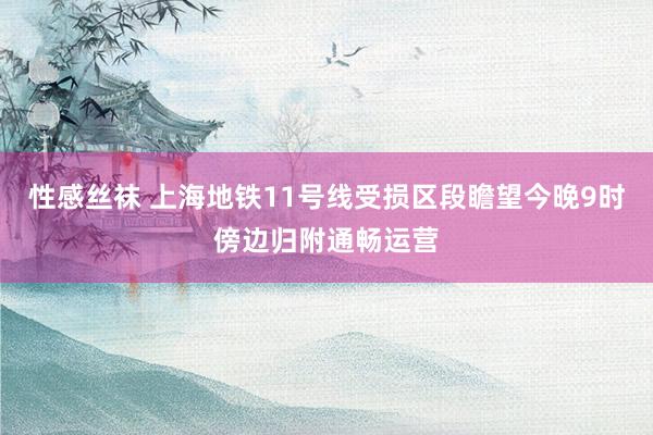 性感丝袜 上海地铁11号线受损区段瞻望今晚9时傍边归附通畅运营