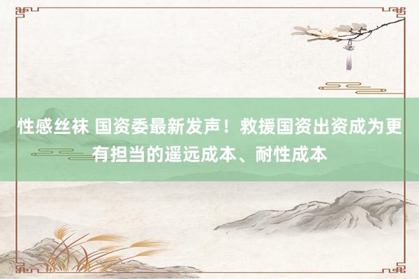 性感丝袜 国资委最新发声！救援国资出资成为更有担当的遥远成本、耐性成本