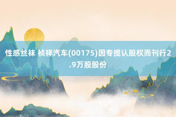 性感丝袜 祯祥汽车(00175)因专揽认股权而刊行2.9万股股份