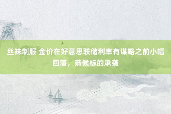 丝袜制服 金价在好意思联储利率有谋略之前小幅回落，恭候标的承袭