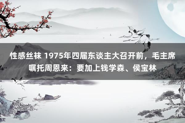 性感丝袜 1975年四届东谈主大召开前，毛主席嘱托周恩来：要加上钱学森、侯宝林