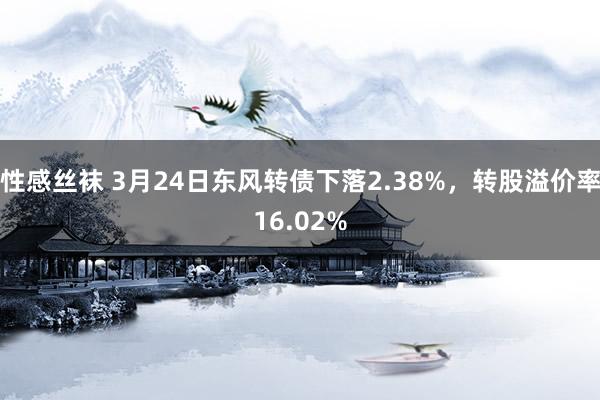 性感丝袜 3月24日东风转债下落2.38%，转股溢价率16.02%