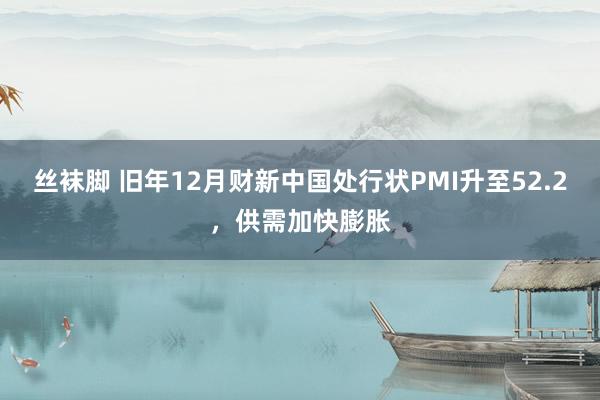 丝袜脚 旧年12月财新中国处行状PMI升至52.2，供需加快膨胀