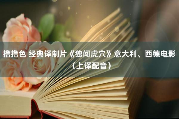 撸撸色 经典译制片《独闯虎穴》意大利、西德电影（上译配音）